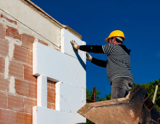 Best Residential Insulation in Dana, NC