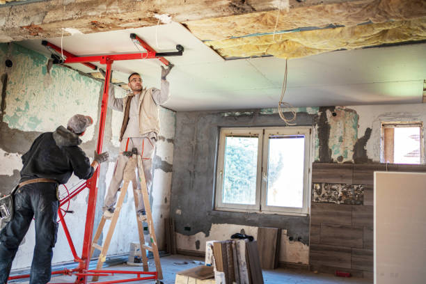 Best Insulation Maintenance and Repair in Dana, NC