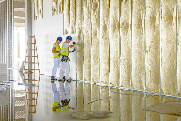 Best Commercial Insulation in Dana, NC